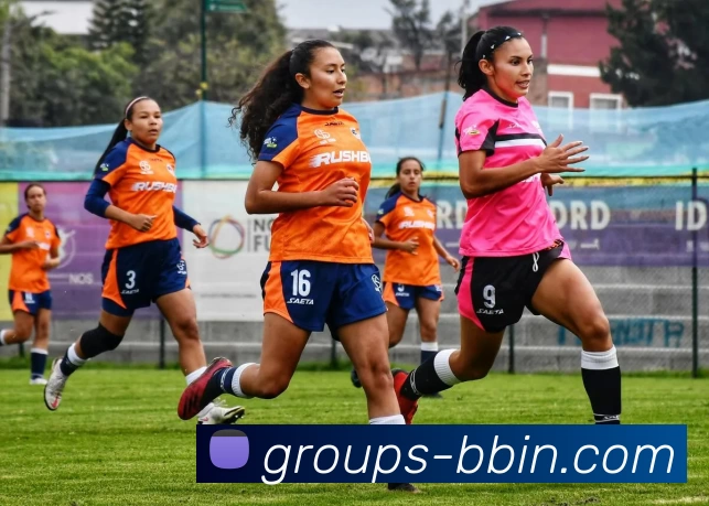 BBIN体育投注发展历程